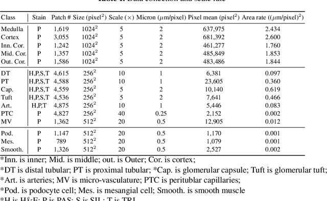 Figure 2 for HATs: Hierarchical Adaptive Taxonomy Segmentation for Panoramic Pathology Image Analysis