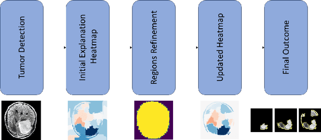 Figure 1 for Enhancing Deep Learning Model Explainability in Brain Tumor Datasets using Post-Heuristic Approaches