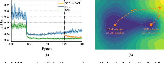 Figure 1 for Sharpness-Aware Minimization Efficiently Selects Flatter Minima Late in Training