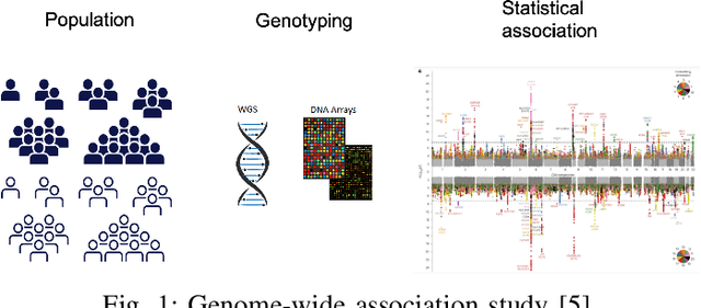 Figure 1 for Toward Capturing Genetic Epistasis From Multivariate Genome-Wide Association Studies Using Mixed-Precision Kernel Ridge Regression