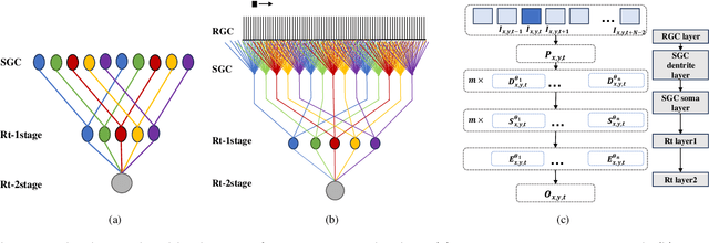 Figure 1 for TSOM: Small Object Motion Detection Neural Network Inspired by Avian Visual Circuit