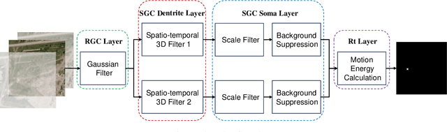 Figure 3 for TSOM: Small Object Motion Detection Neural Network Inspired by Avian Visual Circuit