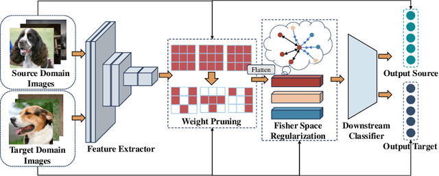 Figure 2 for Non-transferable Pruning