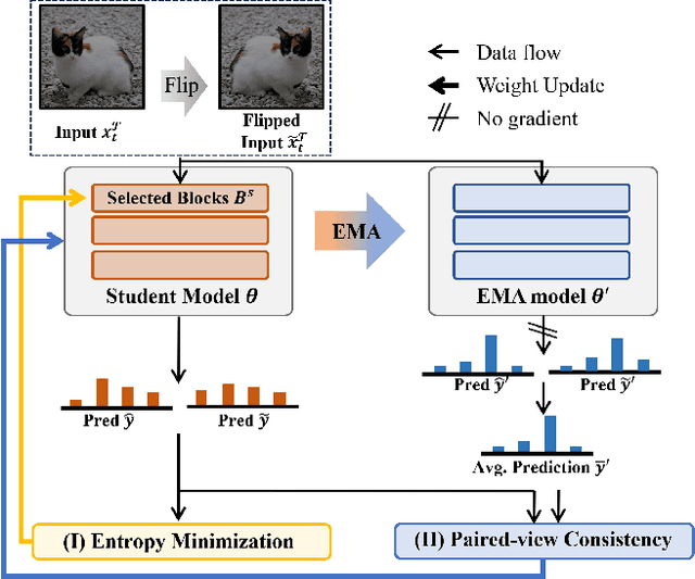 Figure 3 for Domain-Specific Block Selection and Paired-View Pseudo-Labeling for Online Test-Time Adaptation