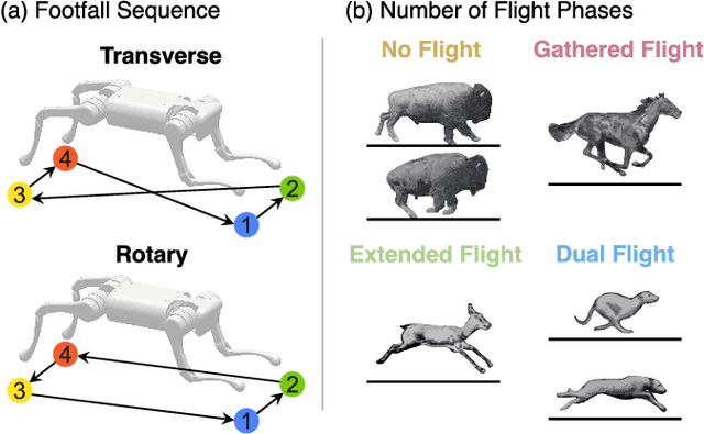 Figure 1 for 16 Ways to Gallop: Energetics and Body Dynamics of High-Speed Quadrupedal Gaits