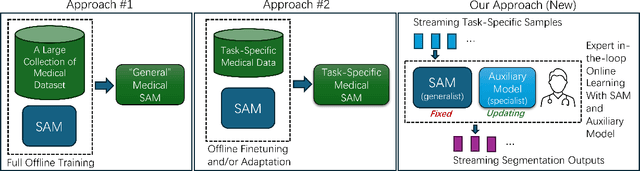 Figure 1 for Improving Segment Anything on the Fly: Auxiliary Online Learning and Adaptive Fusion for Medical Image Segmentation