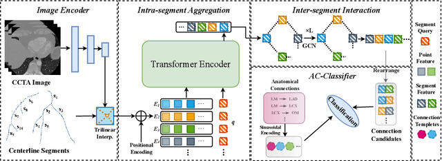 Figure 3 for Topology-Preserving Automatic Labeling of Coronary Arteries via Anatomy-aware Connection Classifier