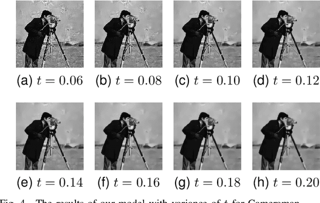 Figure 4 for A Tunable Despeckling Neural Network Stabilized via Diffusion Equation