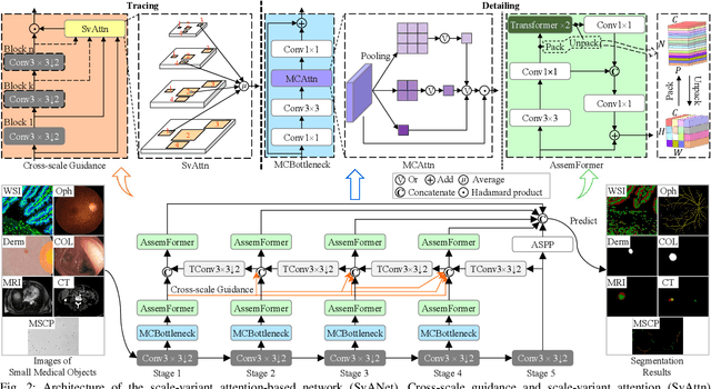 Figure 2 for SvANet: A Scale-variant Attention-based Network for Small Medical Object Segmentation