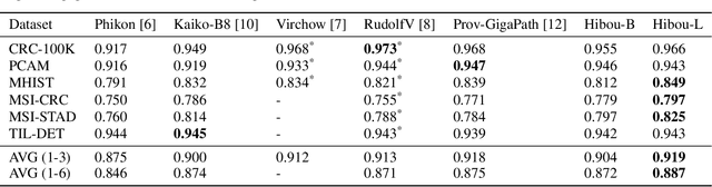 Figure 2 for Hibou: A Family of Foundational Vision Transformers for Pathology