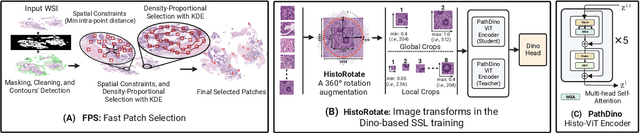 Figure 3 for Rotation-Agnostic Image Representation Learning for Digital Pathology