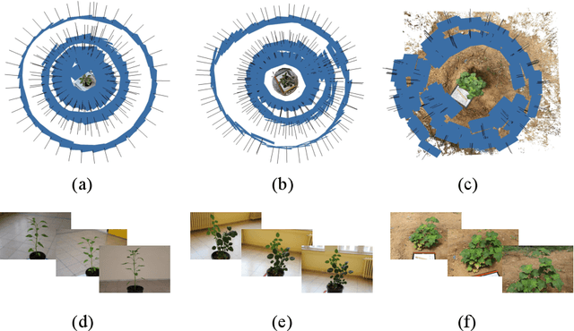 Figure 2 for PLANesT-3D: A new annotated dataset for segmentation of 3D plant point clouds