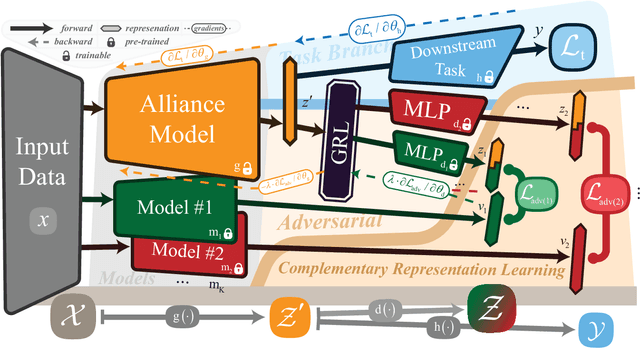 Figure 1 for Efficient Multi-Model Fusion with Adversarial Complementary Representation Learning