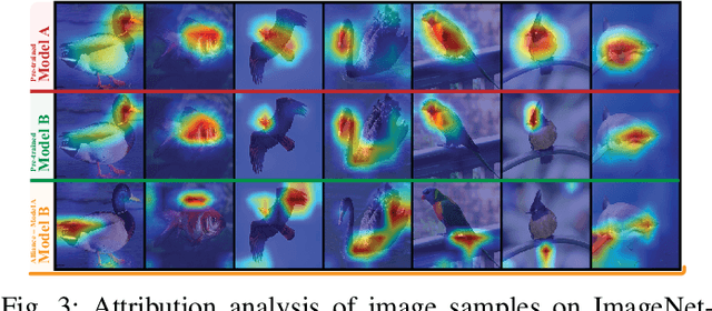 Figure 3 for Efficient Multi-Model Fusion with Adversarial Complementary Representation Learning
