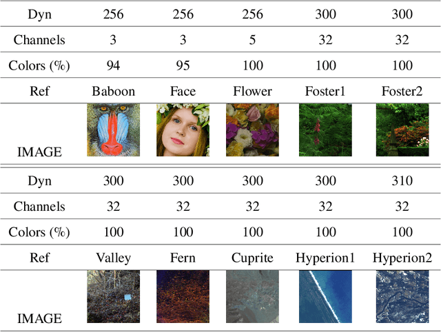 Figure 1 for Universal Scale Laws for Colors and Patterns in Imagery