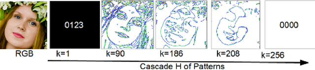 Figure 4 for Universal Scale Laws for Colors and Patterns in Imagery