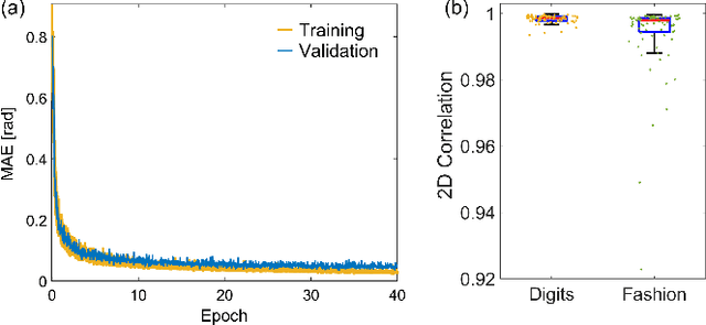 Figure 3 for Calibration-free quantitative phase imaging in multi-core fiber endoscopes using end-to-end deep learning