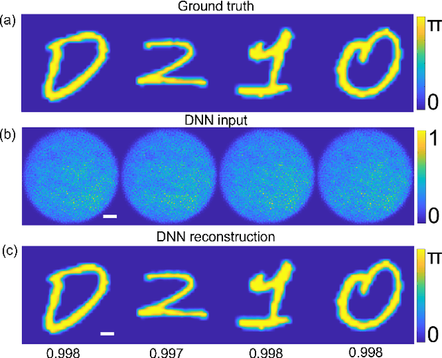 Figure 4 for Calibration-free quantitative phase imaging in multi-core fiber endoscopes using end-to-end deep learning