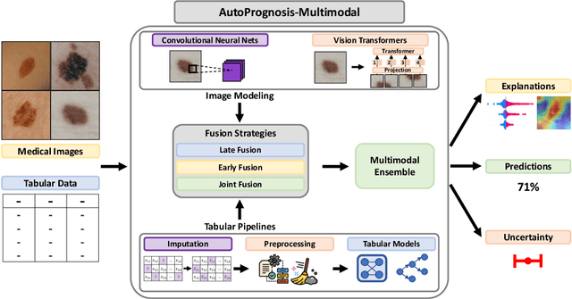 Figure 3 for Automated Ensemble Multimodal Machine Learning for Healthcare