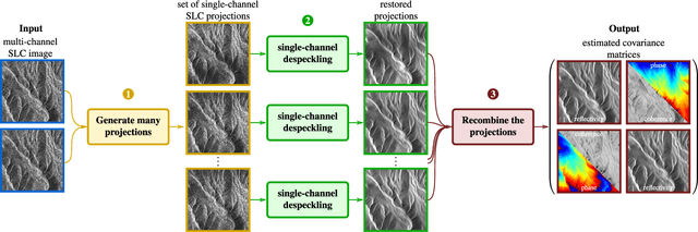 Figure 1 for Just Project! Multi-Channel Despeckling, the Easy Way