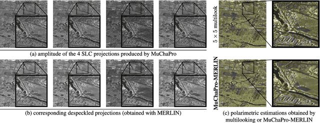 Figure 3 for Just Project! Multi-Channel Despeckling, the Easy Way