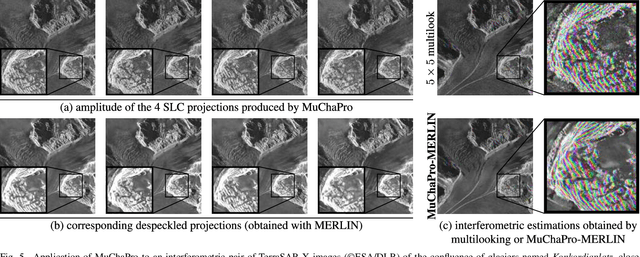 Figure 4 for Just Project! Multi-Channel Despeckling, the Easy Way