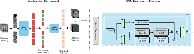 Figure 1 for Learning Brain Tumor Representation in 3D High-Resolution MR Images via Interpretable State Space Models