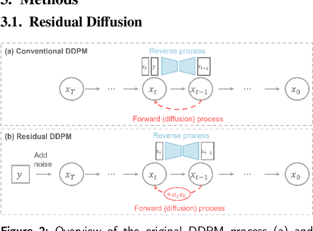 Figure 3 for Artificial Immunofluorescence in a Flash: Rapid Synthetic Imaging from Brightfield Through Residual Diffusion