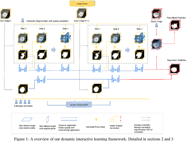 Figure 1 for A dynamic interactive learning framework for automated 3D medical image segmentation