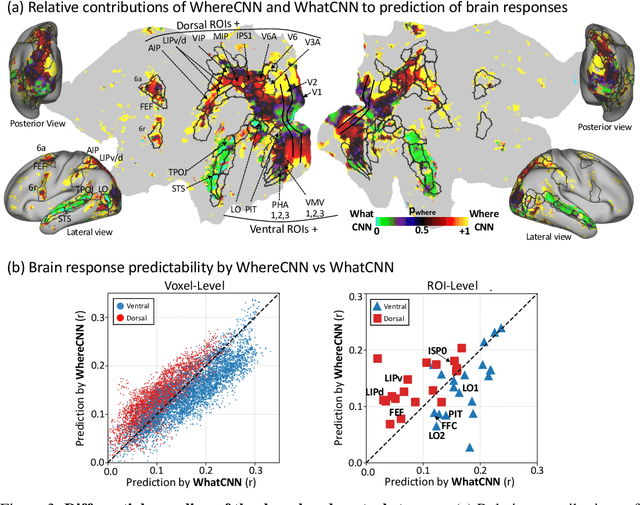 Figure 3 for A Dual-Stream Neural Network Explains the Functional Segregation of Dorsal and Ventral Visual Pathways in Human Brains