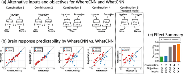 Figure 4 for A Dual-Stream Neural Network Explains the Functional Segregation of Dorsal and Ventral Visual Pathways in Human Brains
