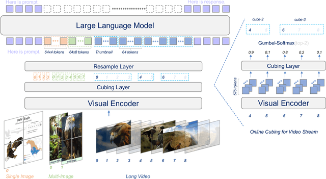 Figure 2 for An LMM for Efficient Video Understanding via Reinforced Compression of Video Cubes