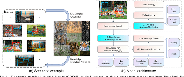 Figure 1 for Data-driven Knowledge Fusion for Deep Multi-instance Learning