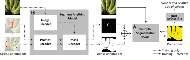 Figure 3 for Weakly supervised image segmentation for defect-based grading of fresh produce