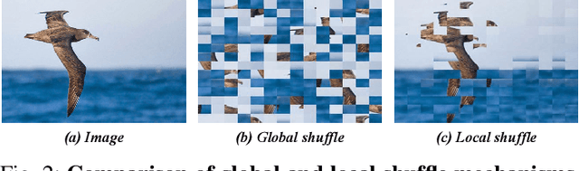 Figure 2 for Semantic-Constraint Matching Transformer for Weakly Supervised Object Localization