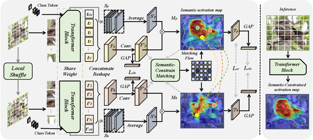 Figure 3 for Semantic-Constraint Matching Transformer for Weakly Supervised Object Localization