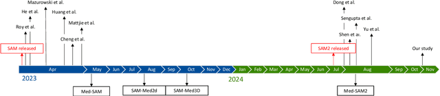 Figure 2 for Zero-shot capability of SAM-family models for bone segmentation in CT scans