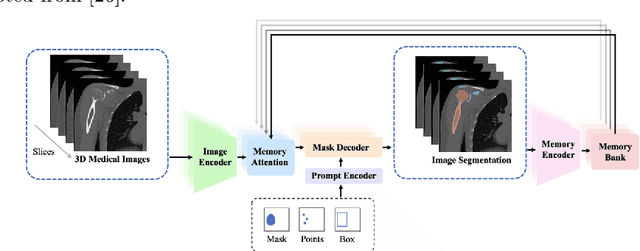 Figure 3 for Zero-shot capability of SAM-family models for bone segmentation in CT scans