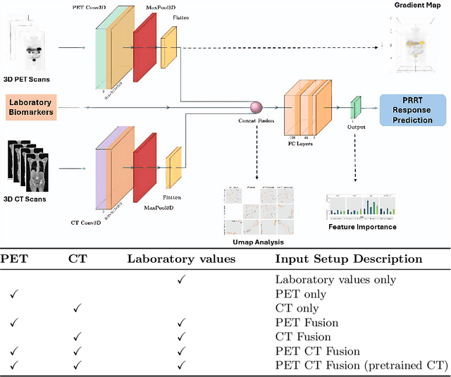 Figure 1 for Multimodal Deep Learning for Prediction of Progression-Free Survival in Patients with Neuroendocrine Tumors Undergoing 177Lu-based Peptide Receptor Radionuclide Therapy
