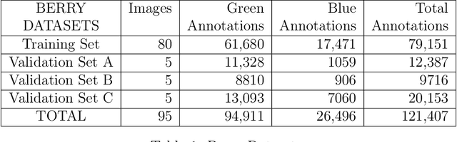 Figure 2 for Accurate Crop Yield Estimation of Blueberries using Deep Learning and Smart Drones