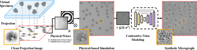 Figure 3 for GenEM: Physics-Informed Generative Cryo-Electron Microscopy