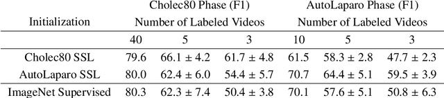 Figure 3 for Jumpstarting Surgical Computer Vision