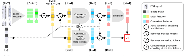 Figure 1 for S-JEPA: towards seamless cross-dataset transfer through dynamic spatial attention