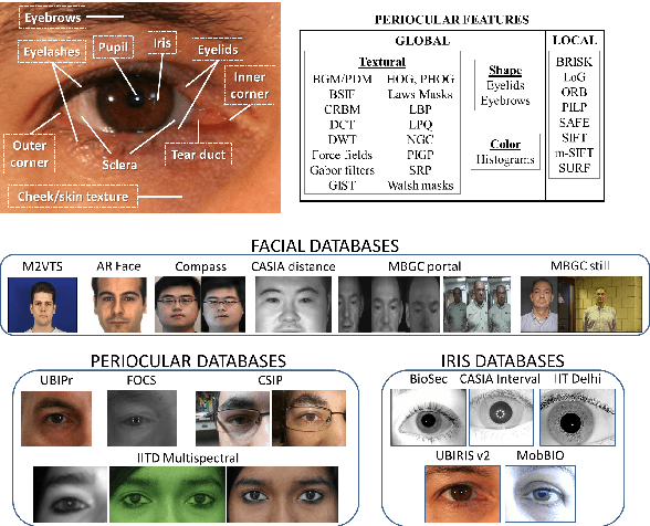 Figure 1 for Periocular biometrics: databases, algorithms and directions