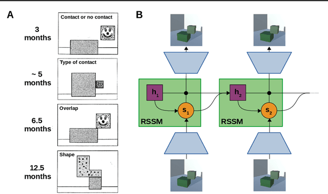 Figure 1 for The Acquisition of Physical Knowledge in Generative Neural Networks