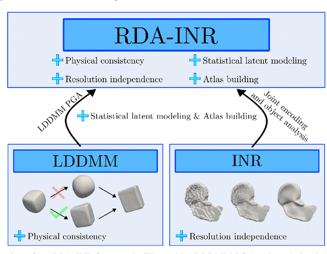 Figure 2 for RSA-INR: Riemannian Shape Autoencoding via 4D Implicit Neural Representations