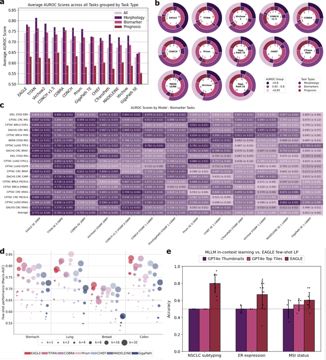 Figure 2 for A deep learning framework for efficient pathology image analysis