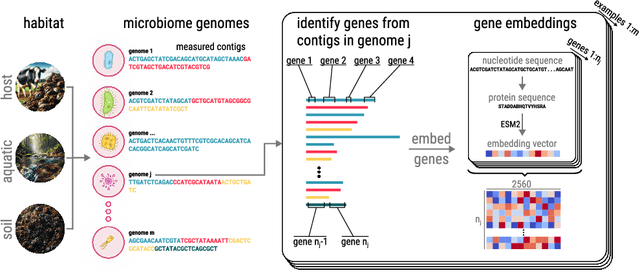 Figure 1 for Whole Genome Transformer for Gene Interaction Effects in Microbiome Habitat Specificity