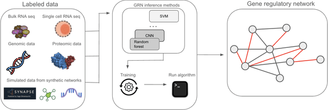 Figure 3 for Machine Learning Methods for Gene Regulatory Network Inference