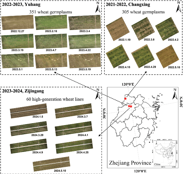 Figure 1 for Integrating remote sensing data assimilation, deep learning and large language model for interactive wheat breeding yield prediction